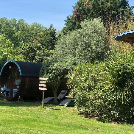 Bed and Breakfast La Bastide De Negra Montesquieu-Lauragais Esterno foto