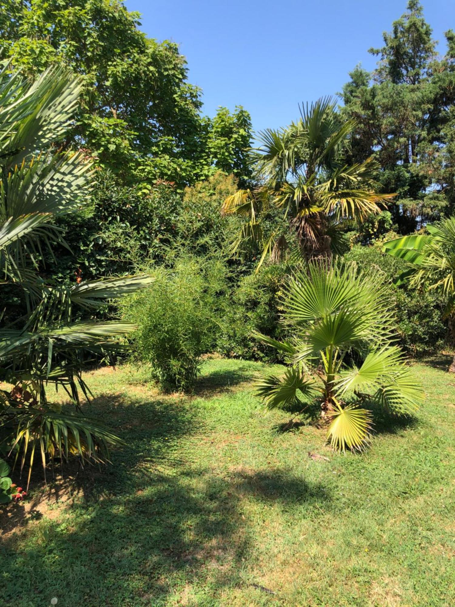 Bed and Breakfast La Bastide De Negra Montesquieu-Lauragais Esterno foto
