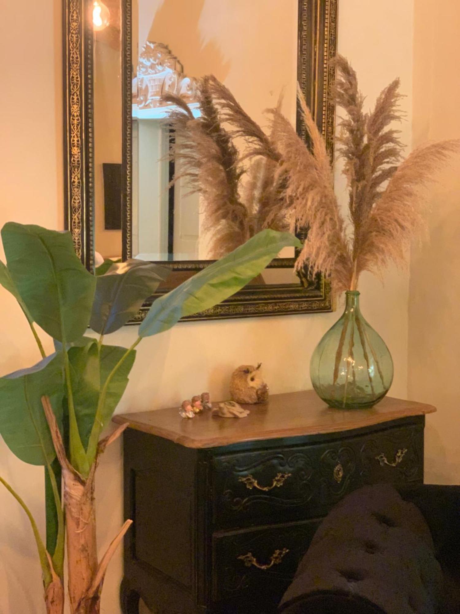 Bed and Breakfast La Bastide De Negra Montesquieu-Lauragais Esterno foto