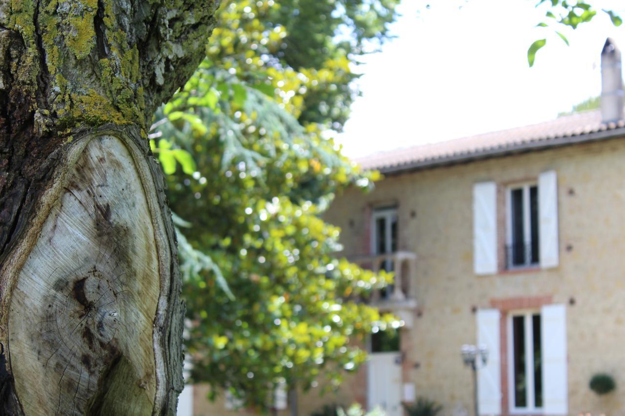 Bed and Breakfast La Bastide De Negra Montesquieu-Lauragais Esterno foto