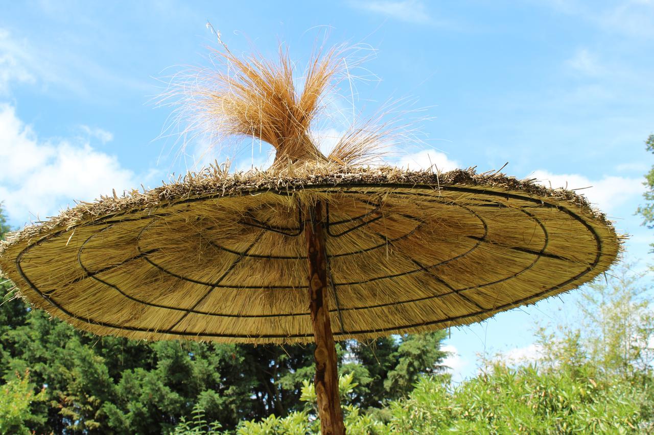 Bed and Breakfast La Bastide De Negra Montesquieu-Lauragais Esterno foto