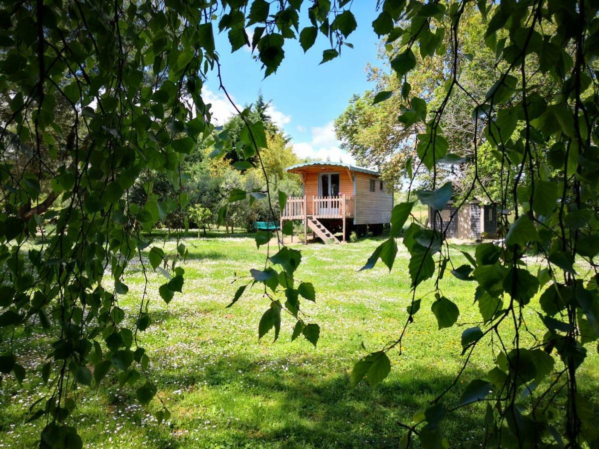 Bed and Breakfast La Bastide De Negra Montesquieu-Lauragais Esterno foto
